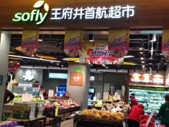 燕郊汉王路中商世贸生活广场一二层部分旺铺招商中