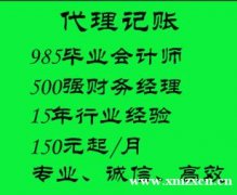 代理记账(985高校会计师，世界500强财务经理）