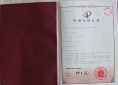 四川某健心脑耳肽保健食品发明专利融资200万-300万元