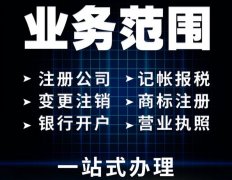 代理记账 财务审计 资产评估 工程造价 纳税申报