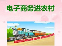 甘肃某电子商务平台股权融资300万-500万元