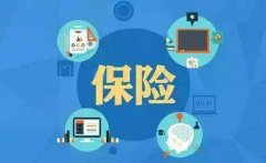 湖南某互联网保险销售平台项目融资5000万-1亿