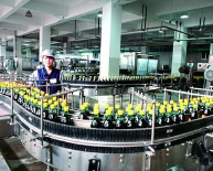 甘肃某年产2万吨香醋生产线建设项目融资2700万元。