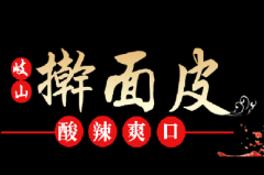 美食项目股权融资100万