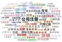 工商注册注销 代理记账 税务筹划 合理避税 海南落户  审计
