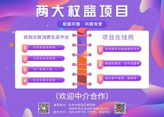 收到乐集团优质项目欢迎共享共创共赢！